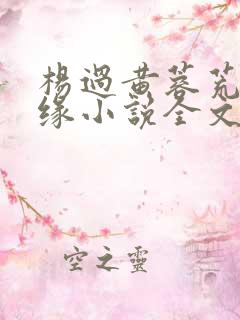 杨过黄蓉荒岛情缘小说全文在线阅读