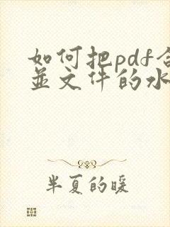 如何把pdf合并文件的水印去除