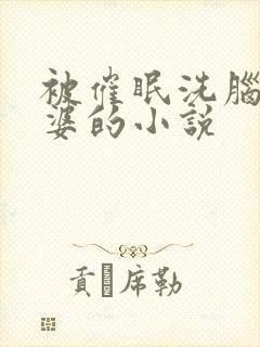 被催眠洗脑的老婆的小说