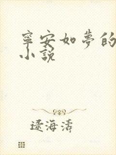 宁安如梦的原著小说