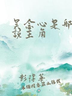 吴念心是哪部小说主角