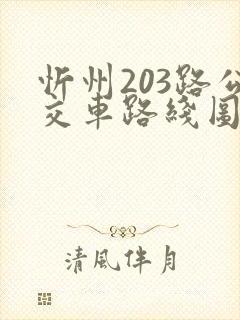 忻州203路公交车路线图