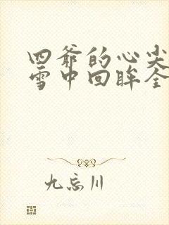 四爷的心尖宠妃雪中回眸全集免费阅读