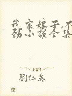 我家娘子,不对劲小说全集txt