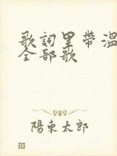 歌词里带温柔的全部歌