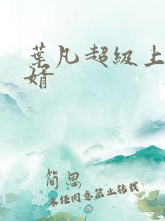 叶凡超级上门女婿