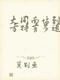 大同南站到大同方特有多远