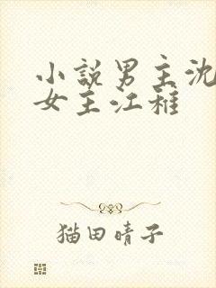 小说男主沈卿尘女主江稚
