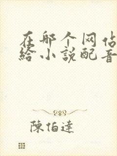 在哪个网站可以给小说配音