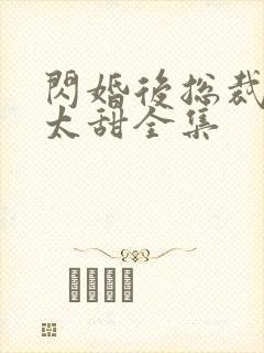 闪婚后总裁娇妻太甜全集