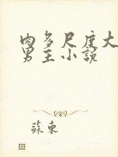 肉多尺度大的双男主小说