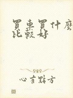 买车买什么牌子比较好