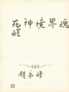 死神境界魂之觉醒