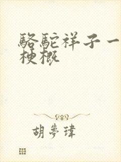 骆驼祥子一二章梗概