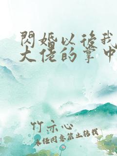 闪婚以后我成了大佬的掌中之物免费观看