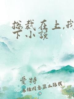 总裁在上,我在下小说