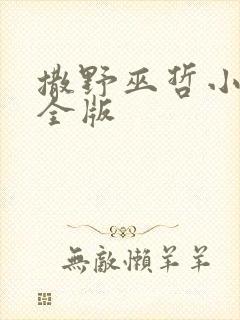 撒野巫哲小说完全版