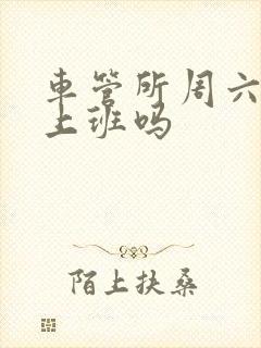 车管所周六周末上班吗