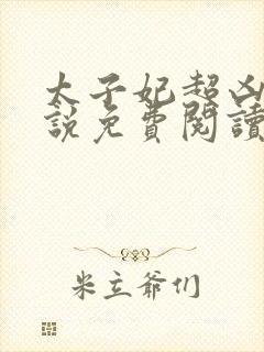 太子妃超凶的小说免费阅读