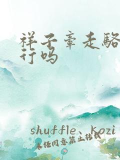 祥子牵走骆驼当行吗