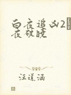 白夜追凶2·白夜破晓