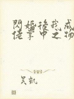 闪婚后我成了大佬掌中之物