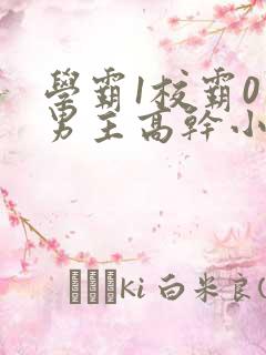 学霸1校霸0双男主高干小说