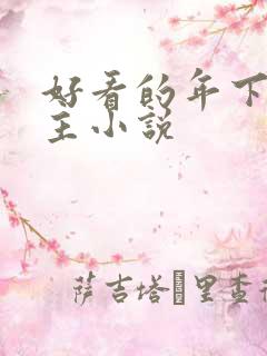 好看的年下双男主小说