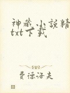 神藏小说精校版txt下载