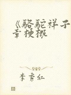 《骆驼祥子》各章梗概