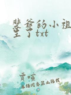 裴爷的小祖宗重生了txt