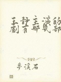 王静主演的电视剧有哪几部