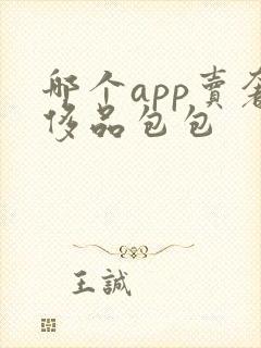 哪个app卖奢侈品包包