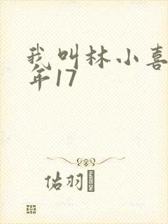 我叫林小喜 今年17