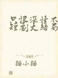 只恨深情不识鸢短剧大结局