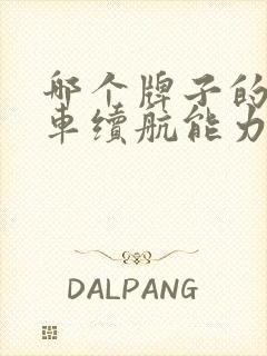 哪个牌子的电动车续航能力强