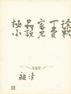 极品家丁徐芷晴小说免费软件