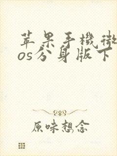 苹果手机微信ios分身版下载安装