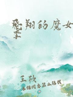 飞翔的魔女第二季