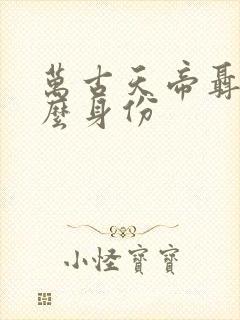 万古天帝聂天什么身份