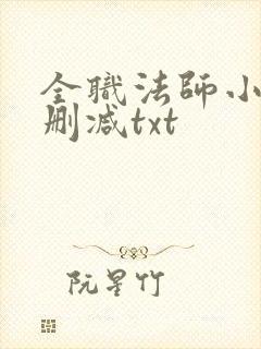 全职法师小说无删减txt