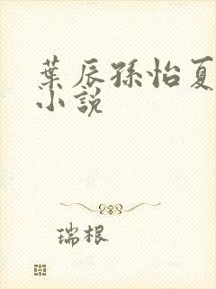 叶辰孙怡夏若雪小说