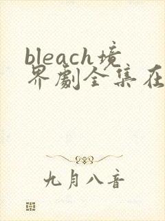 bleach境界剧全集在线观看免费版高清