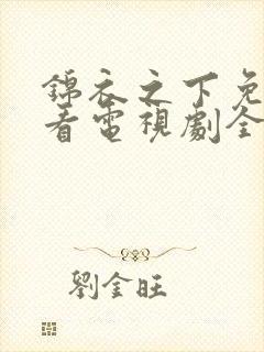 锦衣之下免费观看电视剧全集在线播放