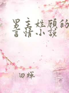 男主姓顾的现代言情小说