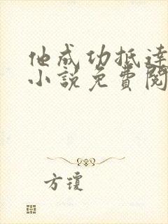 他成功抵达花心小说免费阅读全文