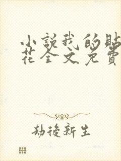 小说我的贴身校花全文免费看