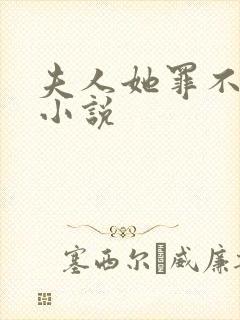 夫人她罪不至死小说