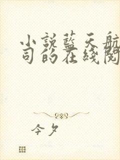 小说蓝天航空公司的在线阅读