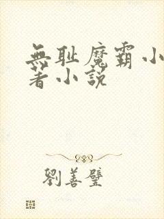 无耻魔霸小说原著小说